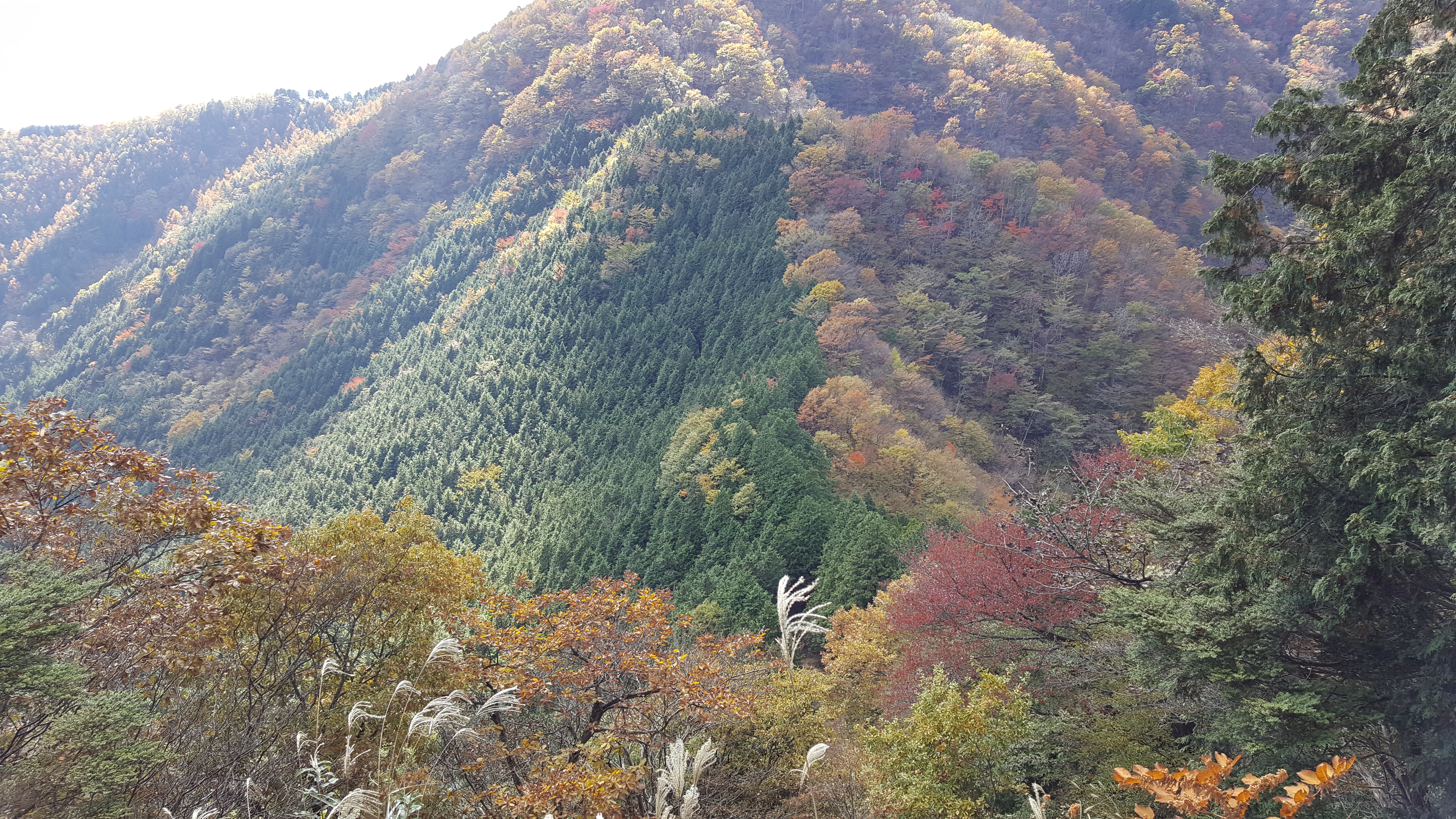 紅葉が始まりそうな山