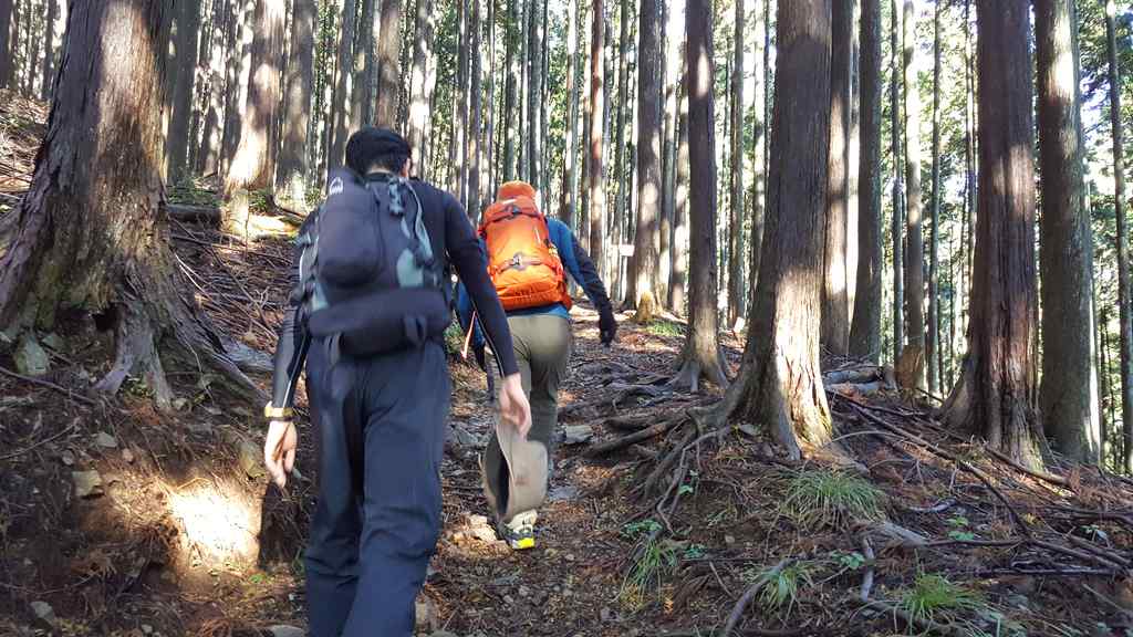 川苔山登山で道なき道を進みます