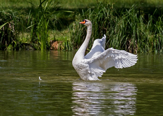 【退職挨拶のマナー】あとを濁さず立つ鳥になろう